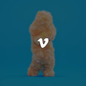 Vimeo Sample Webinar